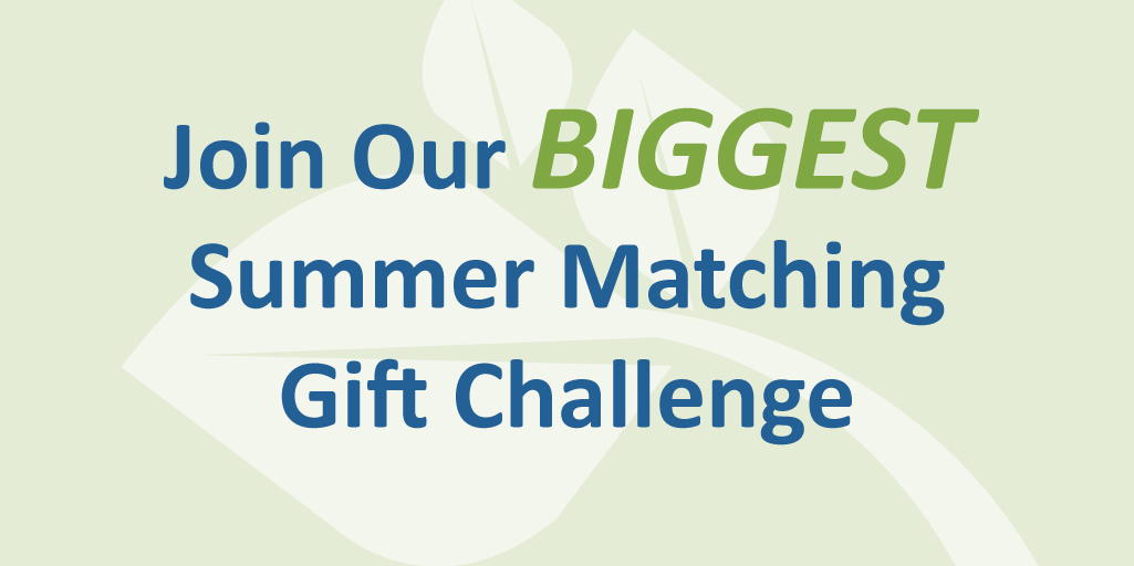 BVFB 206 Donation Page Header