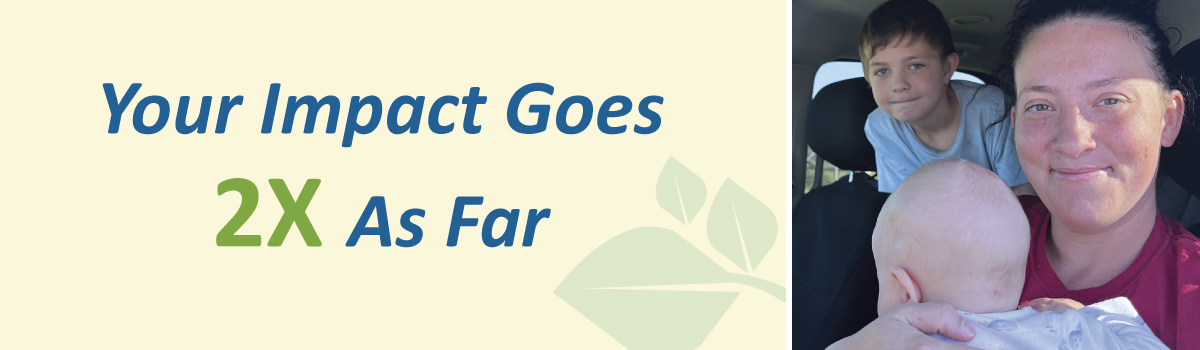 225 header image