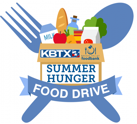 Summer Hunger Logo